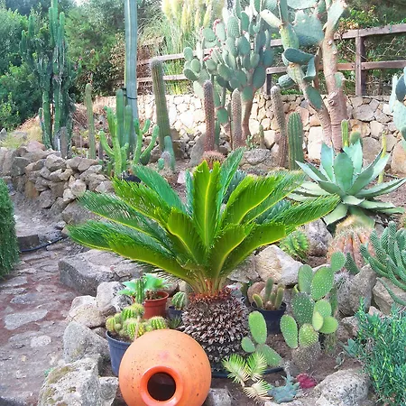 Time Sardegna Palau